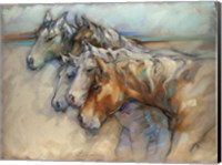 Five Horses Fine Art Print