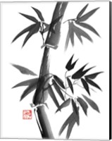 Bamboo 1 Fine Art Print