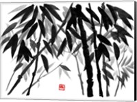 Bamboo 3 Fine Art Print