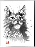 Hairy Cat Fine Art Print