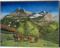 Four Mountain Horses Fine Art Print