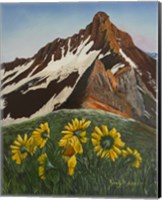 Mountain Flowers Fine Art Print