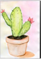 Cactus Fine Art Print
