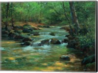 Davidson River Fine Art Print