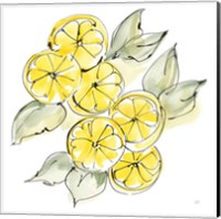 Cut Lemons II Fine Art Print
