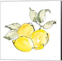 Lemons II Fine Art Print