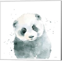 Panda Cub Fine Art Print