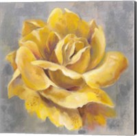 Yellow Roses I Fine Art Print