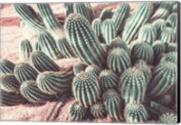 Cactus Muted Burst Fine Art Print