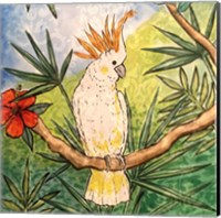 Tropical Bird I Fine Art Print