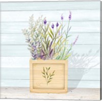 Lavender and Wood Square IV Fine Art Print