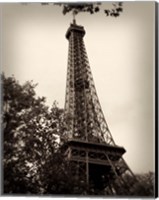 Last Day In Paris II Fine Art Print