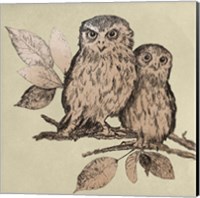 Neutral Little Owls II Fine Art Print
