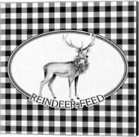 Reindeer Feed Fine Art Print