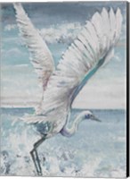 Great Egret Flying Fine Art Print