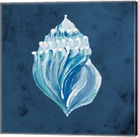 Azul Dotted Seashell on Navy II Fine Art Print