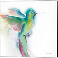 Hummingbirds II Fine Art Print