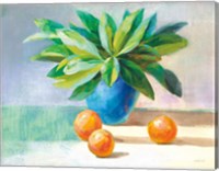 Citrus Still Life Fine Art Print