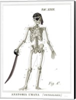 Dandy Bones Pirate Fine Art Print