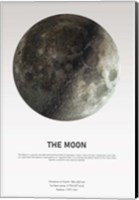 Moon Light Fine Art Print