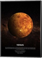 Venus Fine Art Print