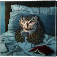Night Owl Fine Art Print