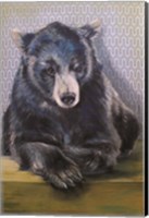 Black Bear Fine Art Print