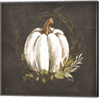 White Pumpkin Fine Art Print