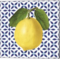 Mediterranean Lemon Fine Art Print