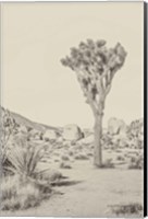 Joshua Tree III Neutral Fine Art Print