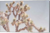Desert Floral I Fine Art Print