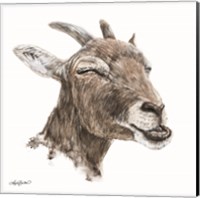 Bill the Goat Fine Art Print