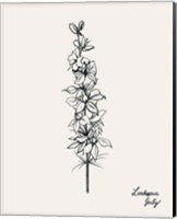 Annual Flowers VII Fine Art Print