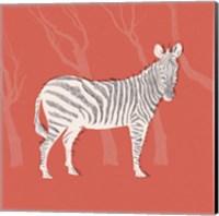 Plains Zebra I Fine Art Print