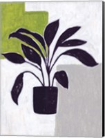 Green Plantling III Fine Art Print