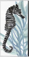 Zebra Seahorse I Fine Art Print