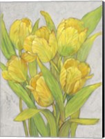 Yellow Tulips I Fine Art Print