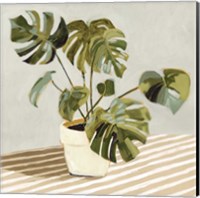 Plant on Stripes II Fine Art Print