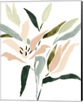 Lily Abstracted II Fine Art Print