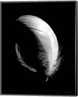Dream Feathers Fine Art Print