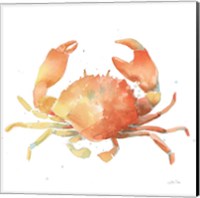 Summertime Crab Fine Art Print