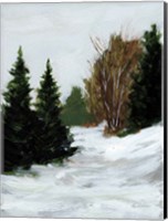 Winter on Grand Mesa Fine Art Print