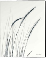 Field Grasses III Crop Fine Art Print