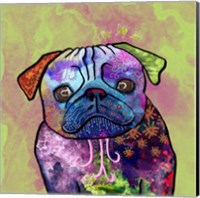 Colorful Pets III Fine Art Print