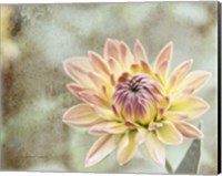 Impression Flower Fine Art Print