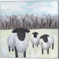 Paint Splotch Sheep Fine Art Print