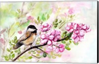 Spring Chickadee and Apple Blossoms Fine Art Print