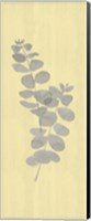 Natural Inspiration Eucalyptus Panel Gray & Yellow II Fine Art Print