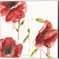 Poppies Fine Art Print