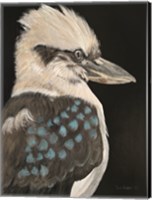 Kookaburra Fine Art Print